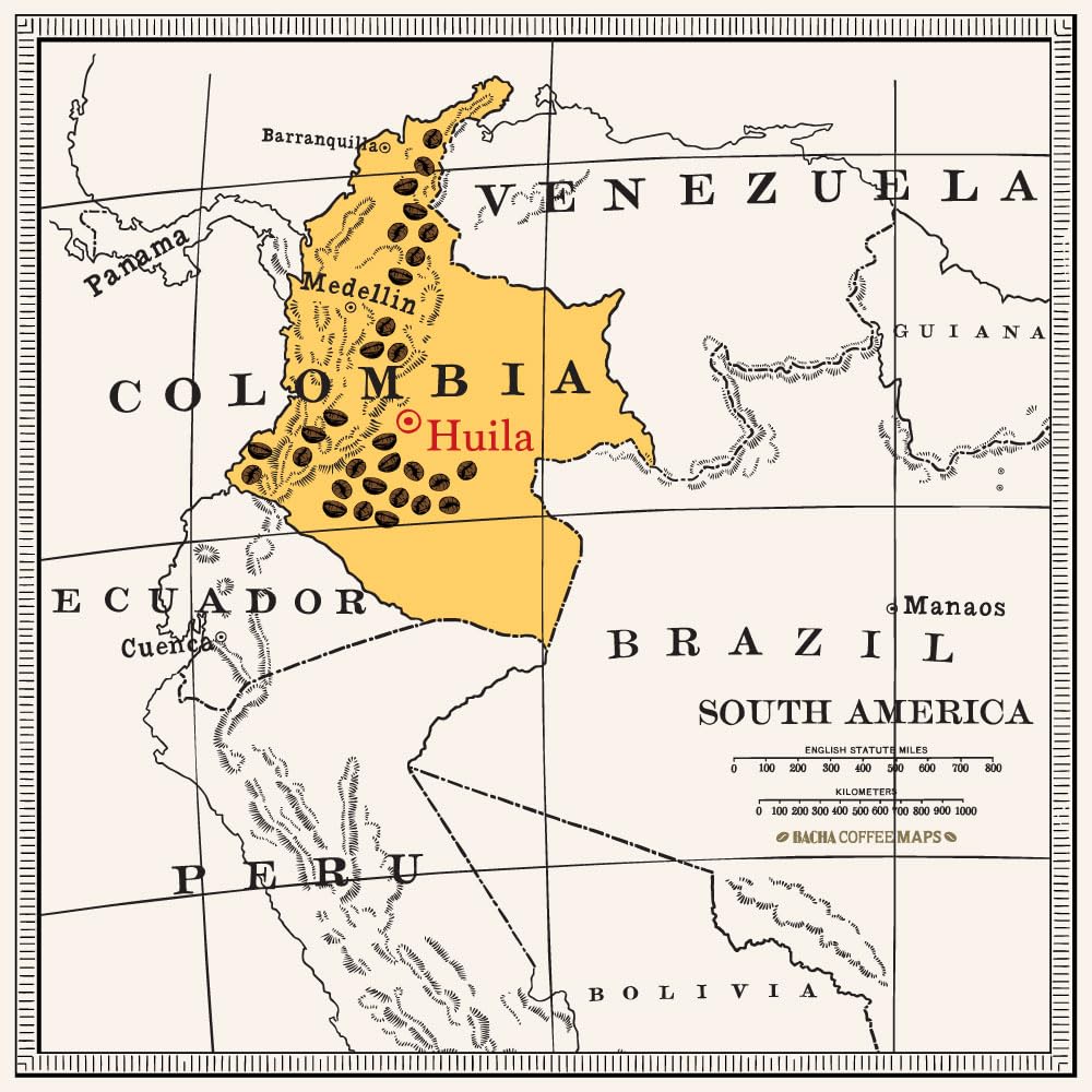 Bacha Magdalena Decaf Colombian Coffee – 12 Luxury Arabica Bags, Rich & Smooth Flavour, 144g Gift Box