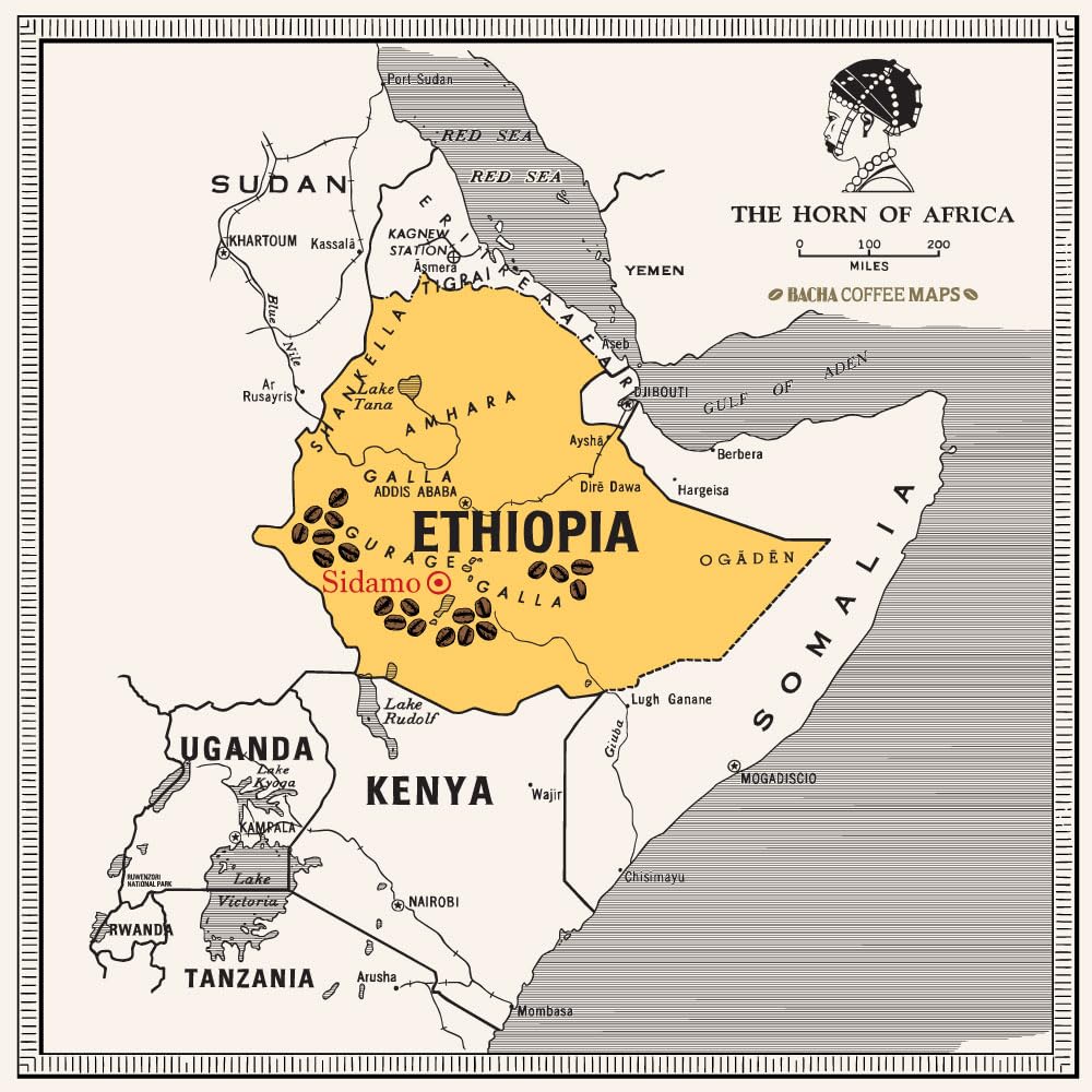 Bacha Coffee Yirgacheffe Decaffeinated – 100% Arabica, Premium Ethiopian Brew (12 Coffee Bags)